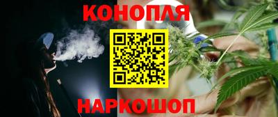 крисы Севастополь