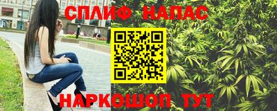 крисы Севастополь